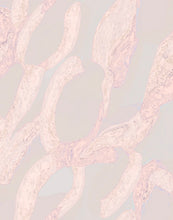 Carregar imagem no visualizador da galeria, Lenço - Estampa Abstrato Rosa